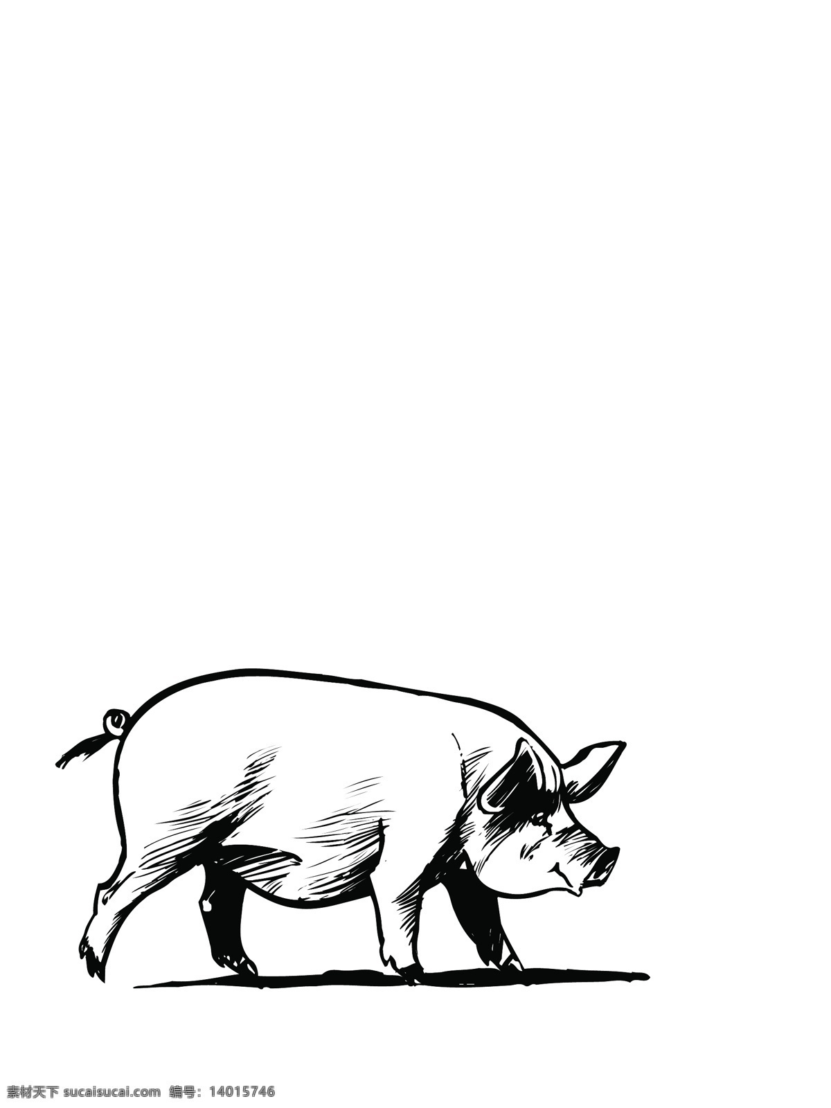 手绘 猪肉 猪八戒 动物 菜谱 农业 农作物 农场