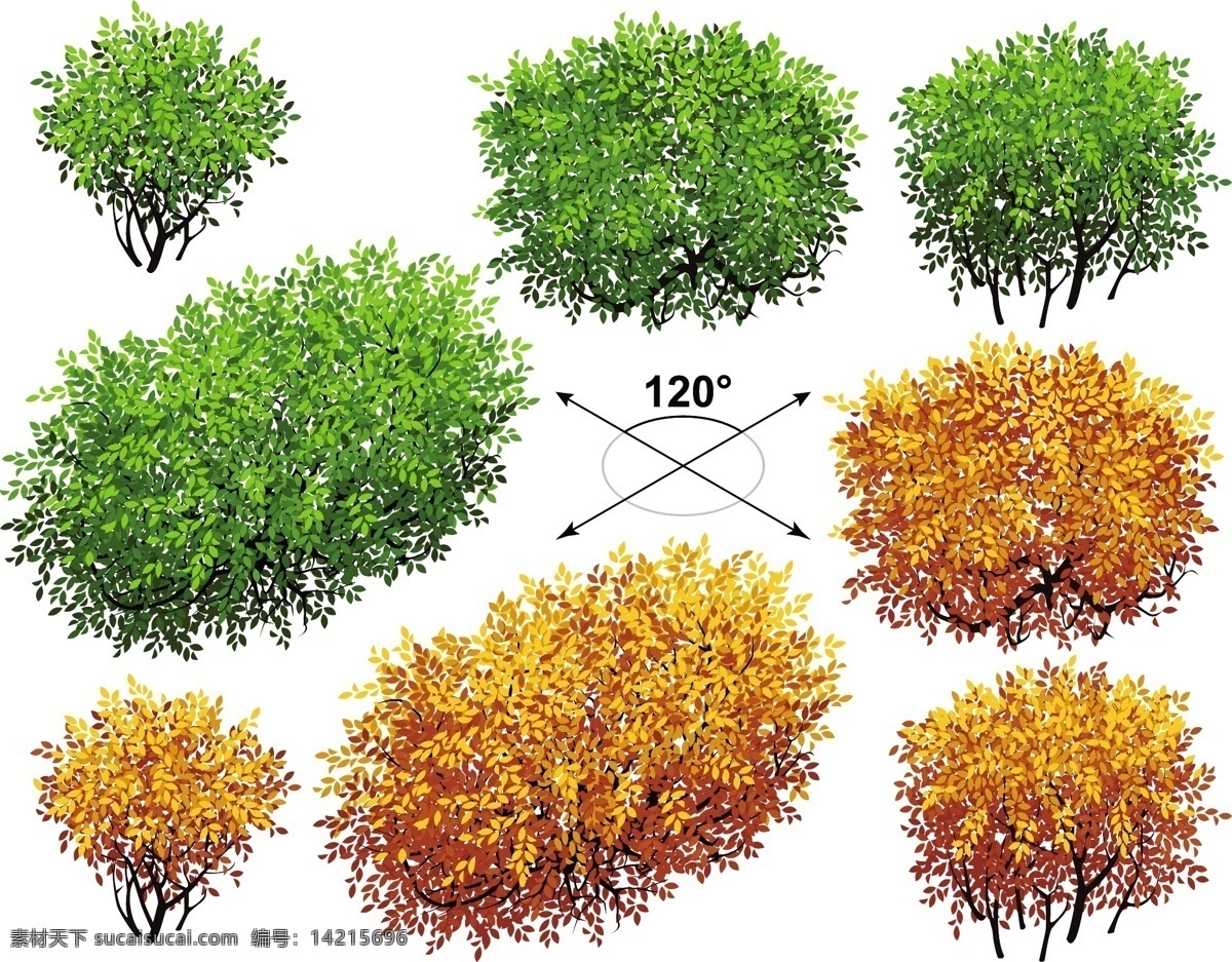 秋季 大树 树叶 大树设计 花草树木 生物世界 矢量大树 植物 背景 矢量 矢量图