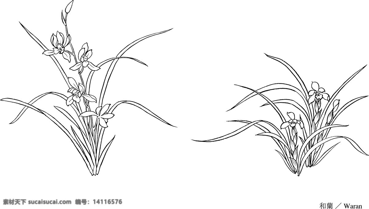 线描花朵 兰花 树叶 绿叶 叶子 流水背景 曲线背景 线条背景 流体背景 流体线条 几何背景 底纹背景 图案背景 花纹背景 线条植物 线描植物 线条花朵 花朵 花卉 矢量花朵 卡通花朵 手绘花朵 花朵插画 矢量花卉 卡通花卉 花卉插画 花草插画 花 生物世界 花草