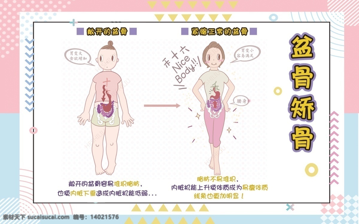 盆骨修复 盆骨 修复 整骨 骨盆 骨骼 分层