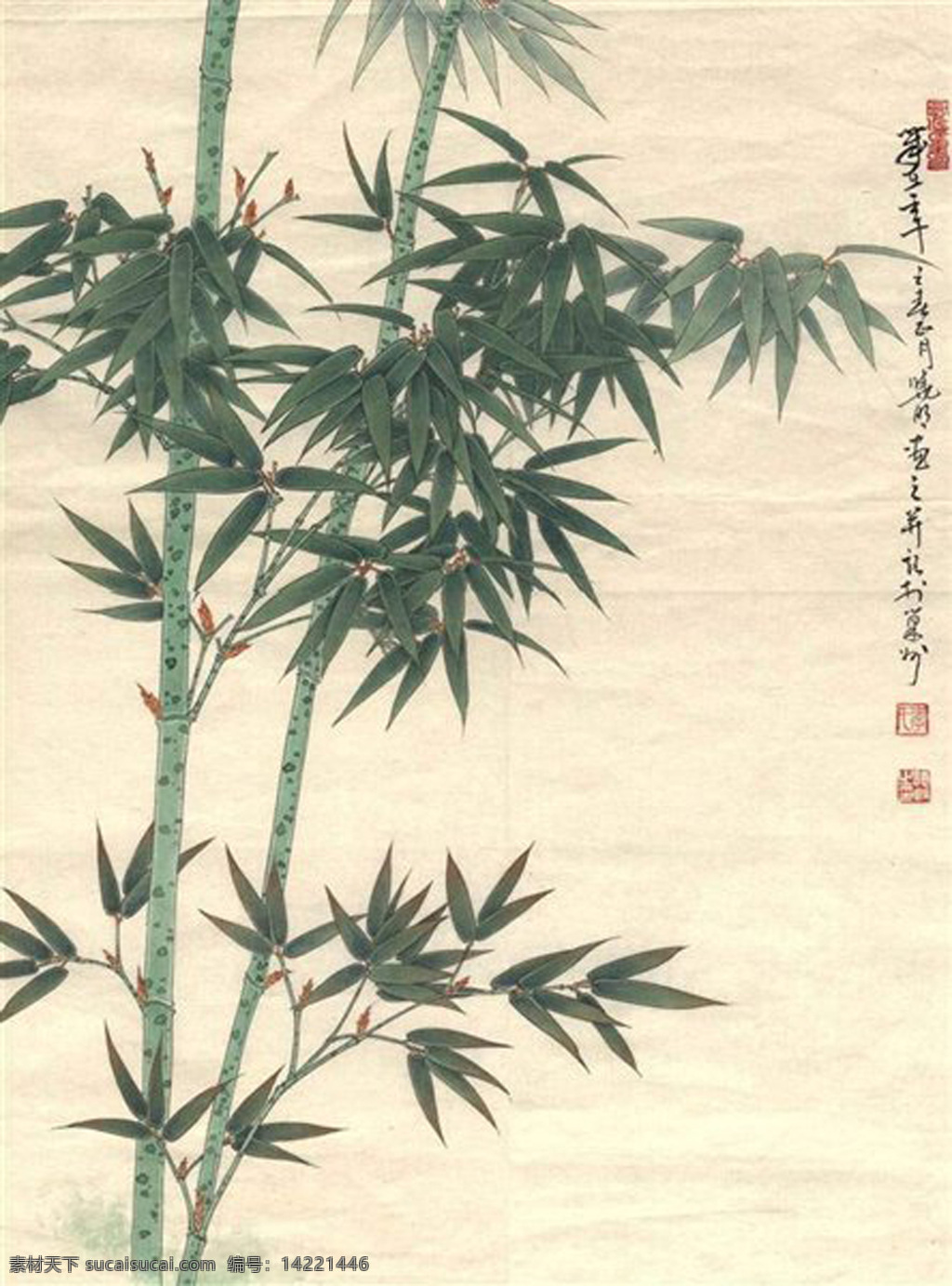 竹子 工笔画 国画 梅兰竹菊 李晓明 矢量图 日常生活