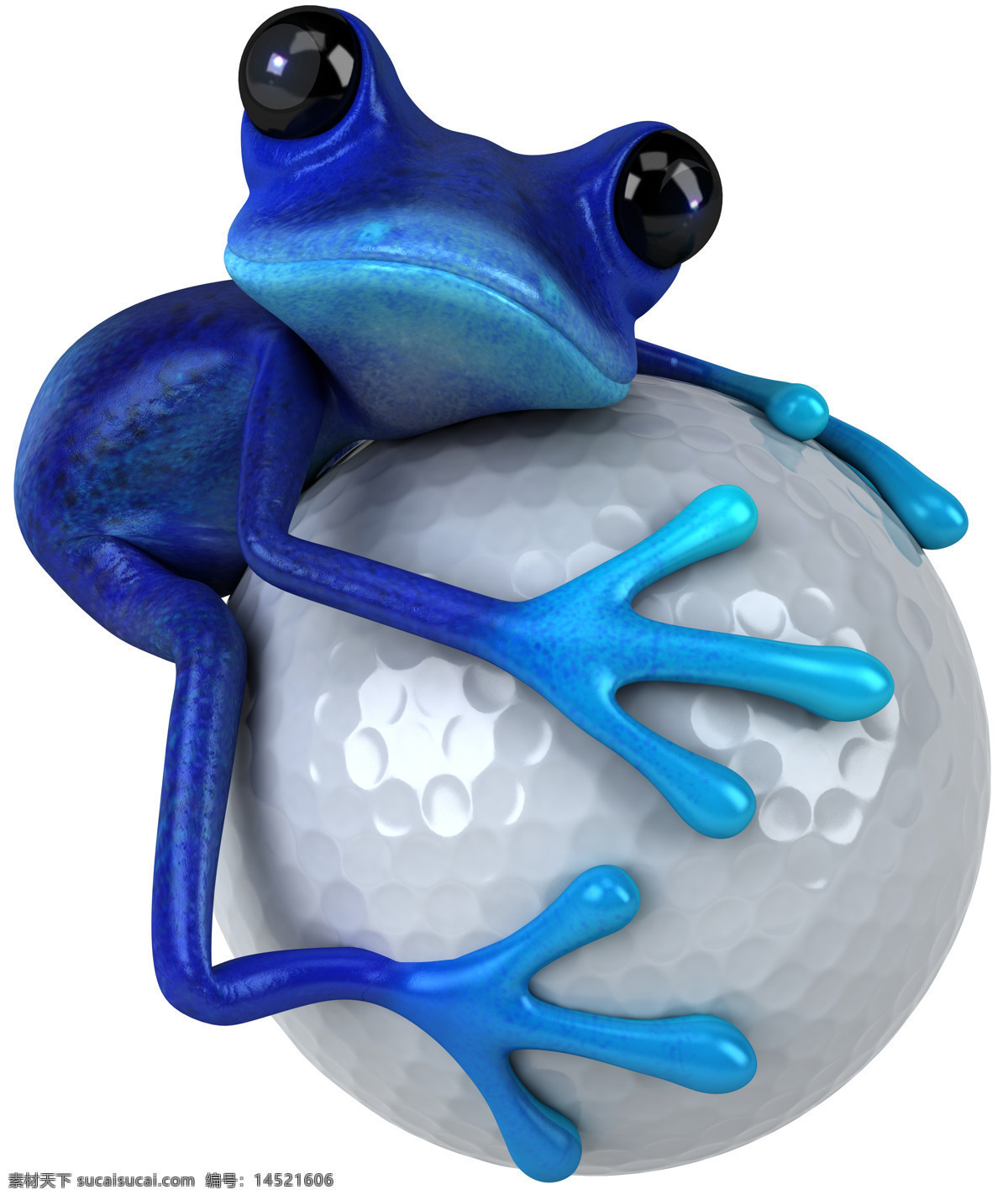 抱 高尔夫球 青蛙 蓝色青蛙 卡通青蛙 插画 3d模型 卡通动物 生物世界