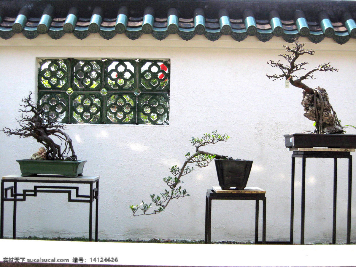 中式 盆景 地产 庭院 传统 中国 徽派 自然风景 自然景观