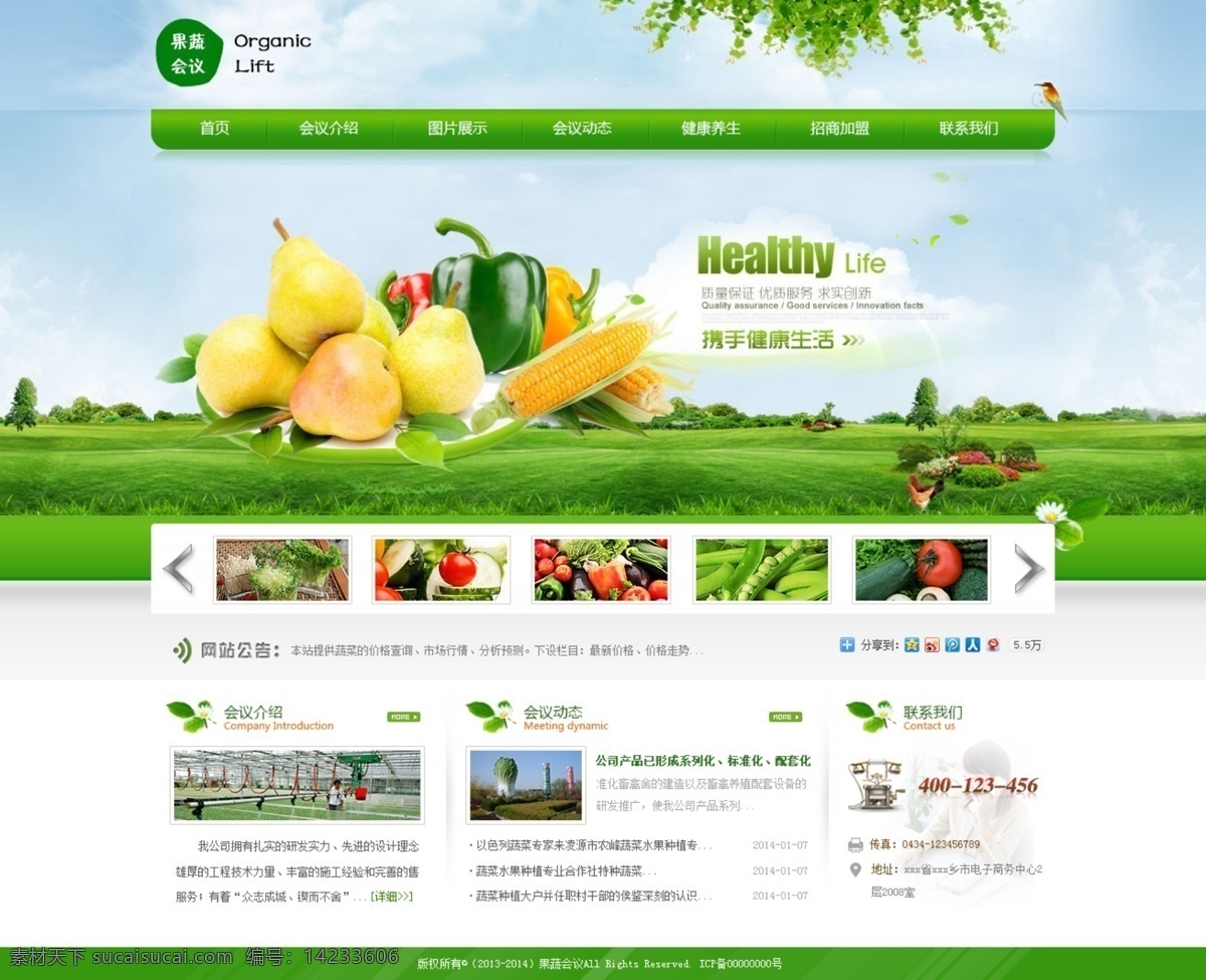 生态农业 企业网站 绿色 水果 蔬菜 白色