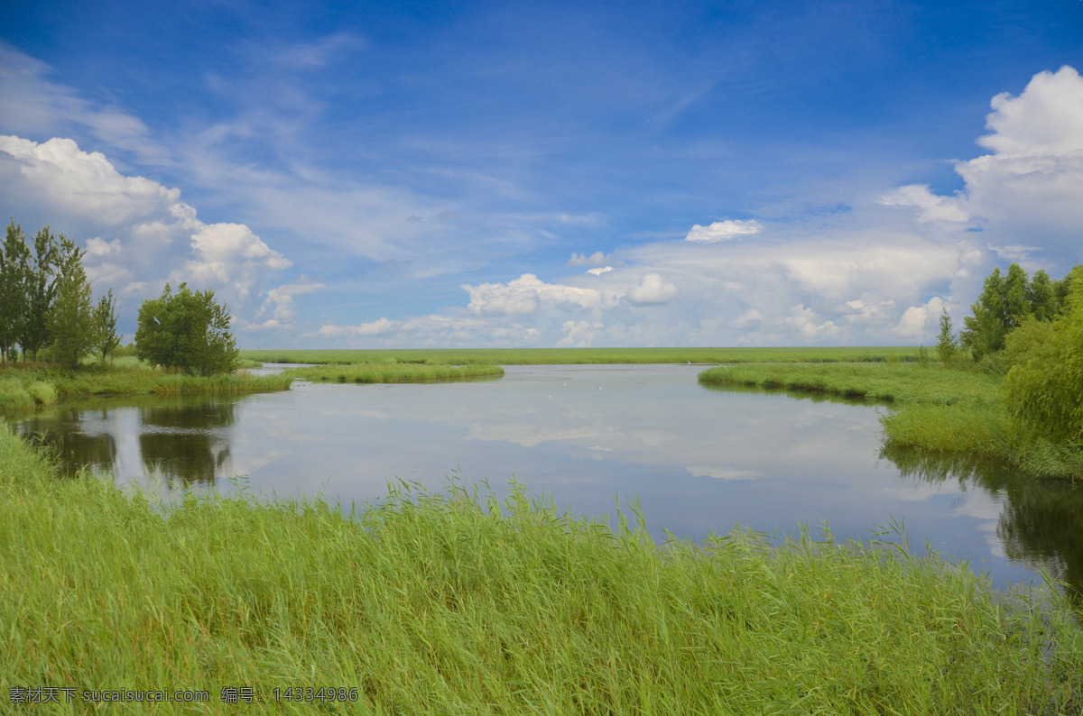扎龙湿地公园 湿地 蓝天 白云 草原 湖泊 旅游摄影 国内旅游