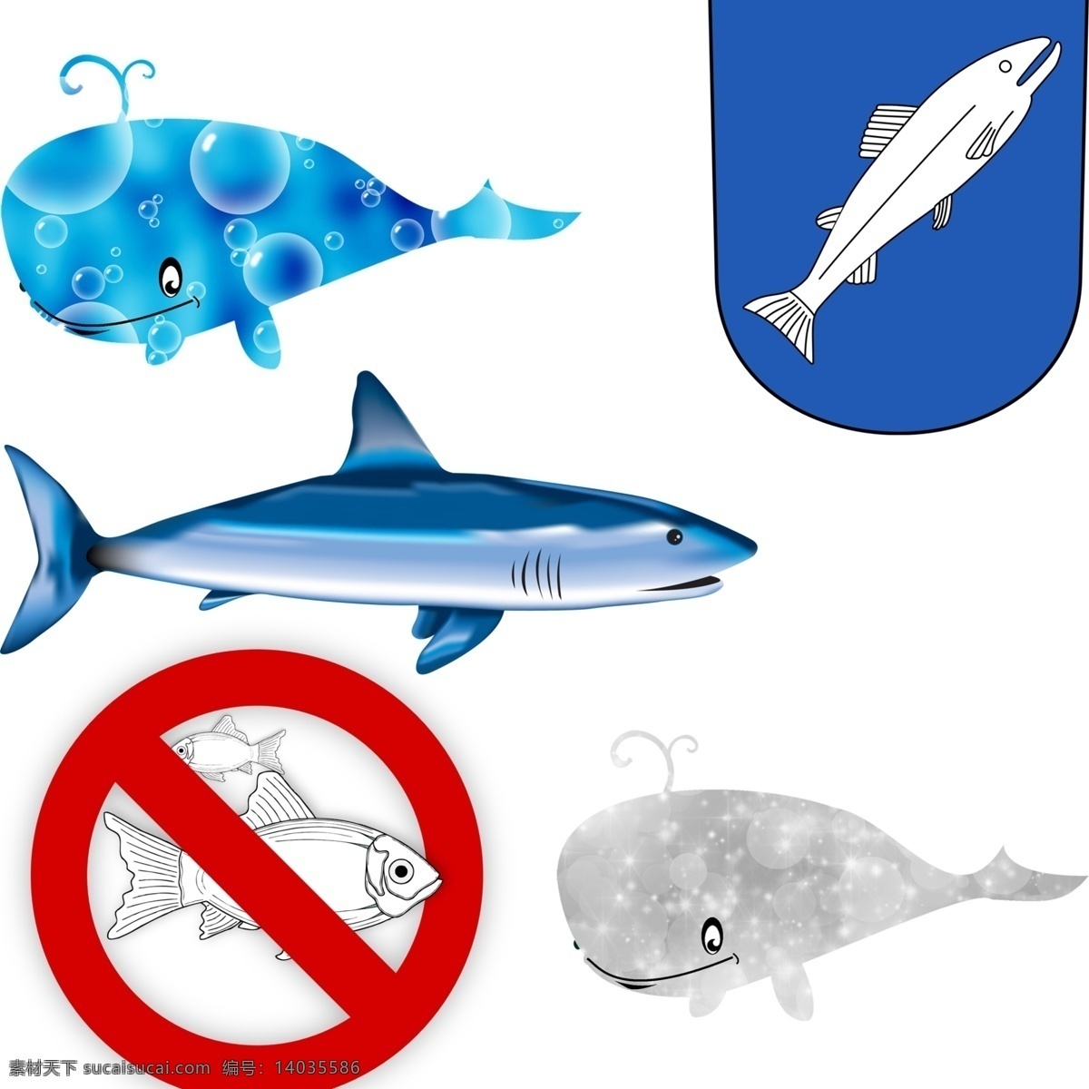鱼鲨鱼 捕鱼 禁止捕鱼 捕捞 禁止捕捞鱼