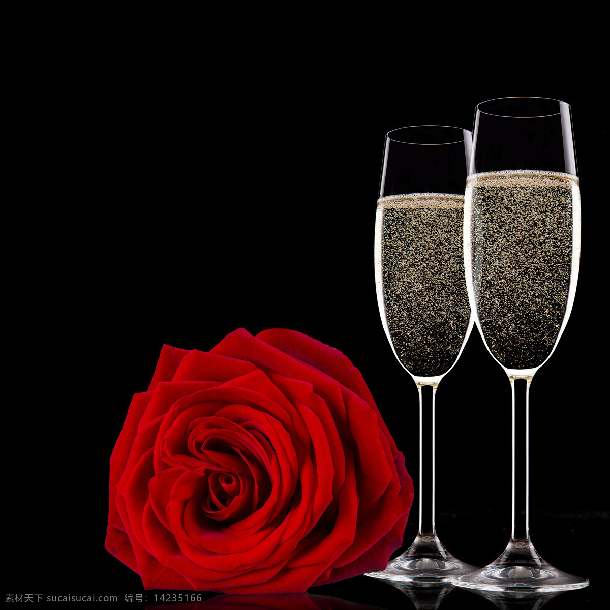 高清 红玫瑰 花 香槟酒 香槟 玫瑰花 鲜花 火玫瑰