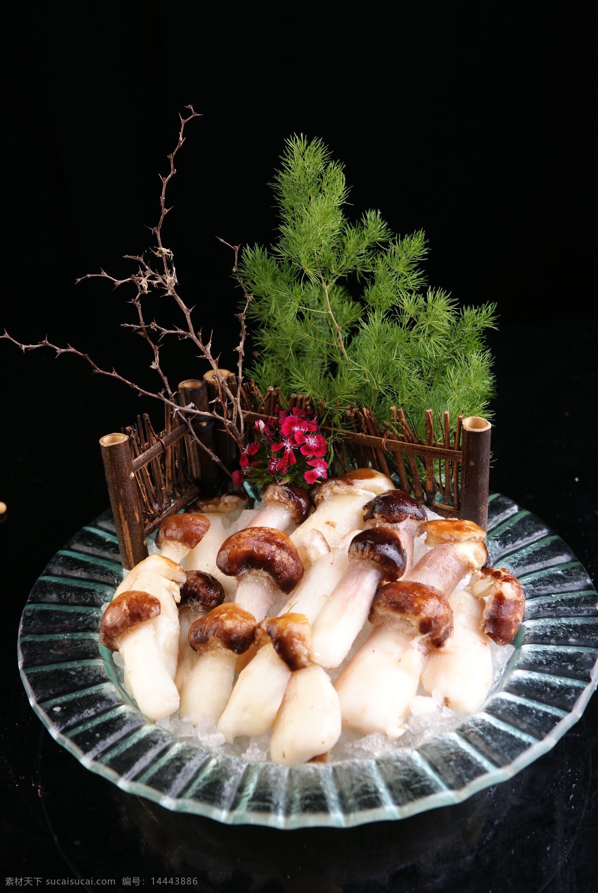 蘑菇 餐饮 餐饮美食 厨房 火锅 酒店 菌类 美食 红蘑 蘑菇类 食物原料 家居装饰素材 室内设计
