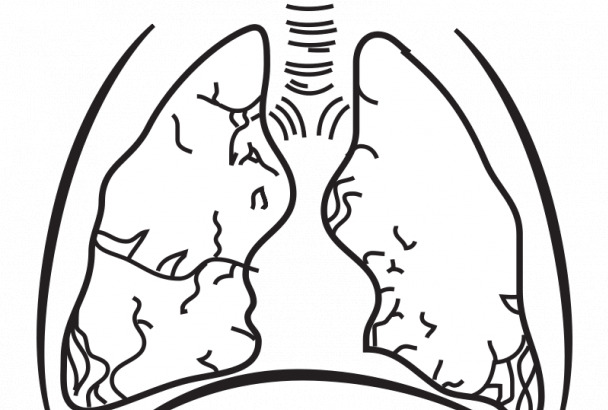 人 肺部 图像 矢量 肺 黑 呼吸 绘图 夹 剪贴画 体 医学 艺术 生物学 svg 白 一部分人 矢量图 自然景观