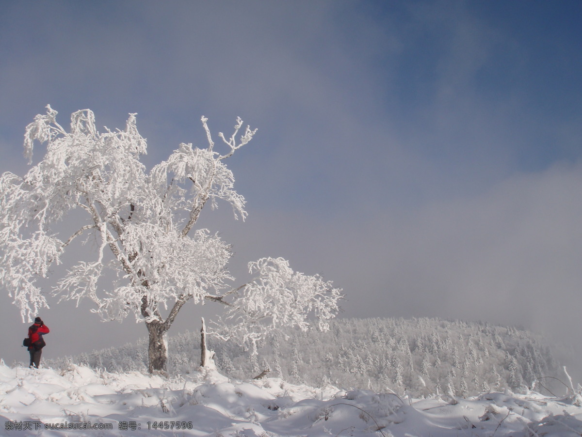 雾凇 第一峰 大秃顶子 美景 树挂 雪景 五常 自然风景 自然景观