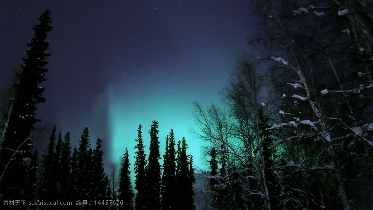 北极光 北极 雪景 冬天 风景 自然风景 自然景观