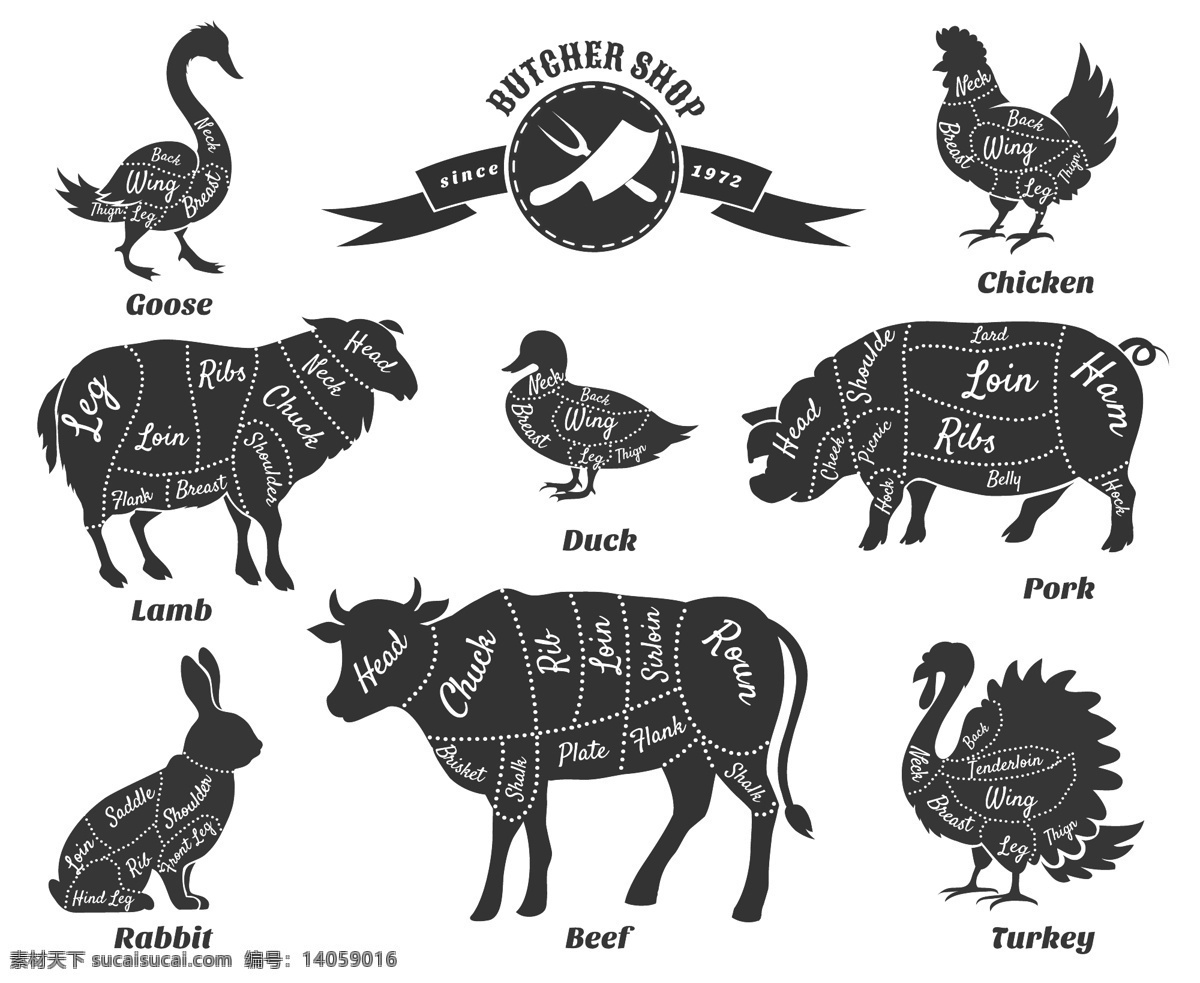 动物肉块注释 猪肉结构图 猪肉部位 羊肉 鸭肉 鸡肉 牛肉 兔子肉 美食插画