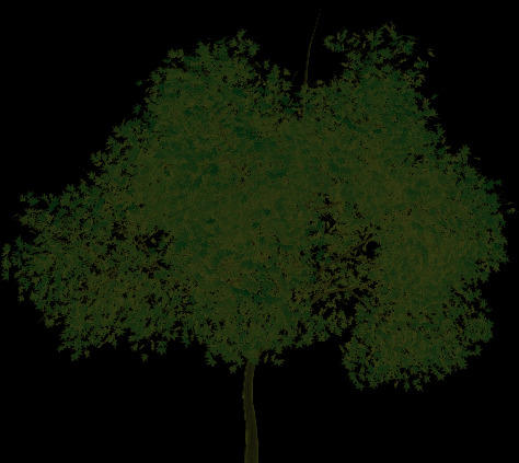 绿树叶元素 手绘 绿色 树叶 树枝
