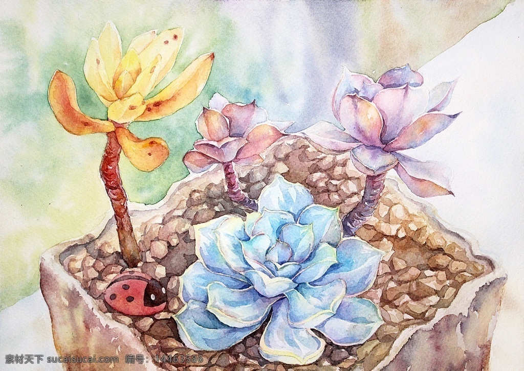 水彩花卉 写意 水彩 多肉 热带 植物 共享区 文化艺术 绘画书法