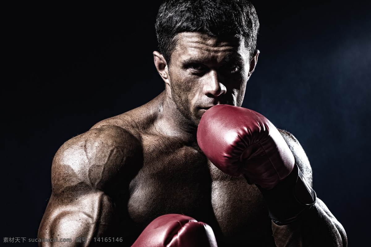 强壮 格斗 运动员 搏击 拳击运动员 欧美男性 体育运动 体育项目 肌肉男 生活百科