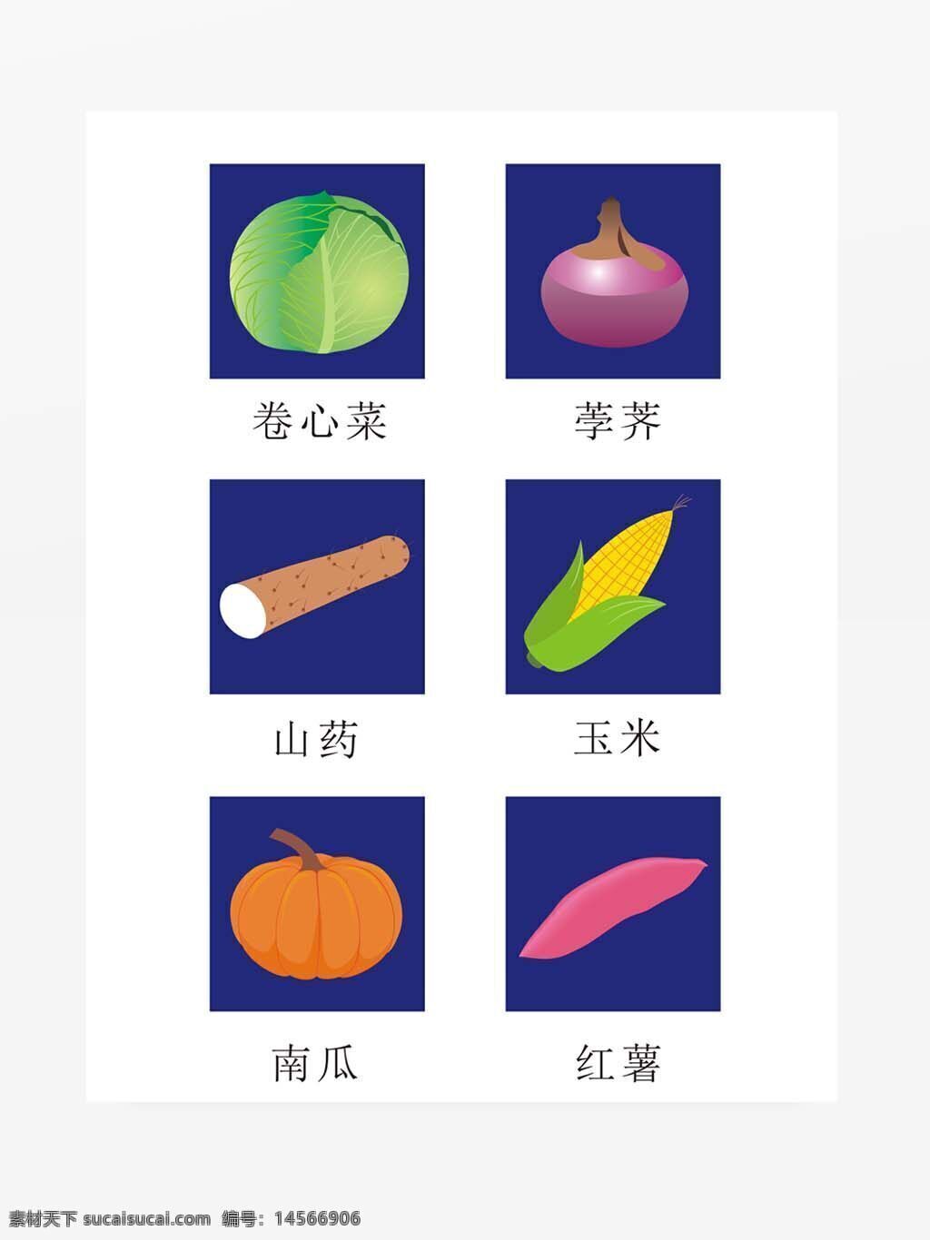 蔬菜矢量图 卷心菜 荸荠 山药 玉米 南瓜 红薯 可变大小