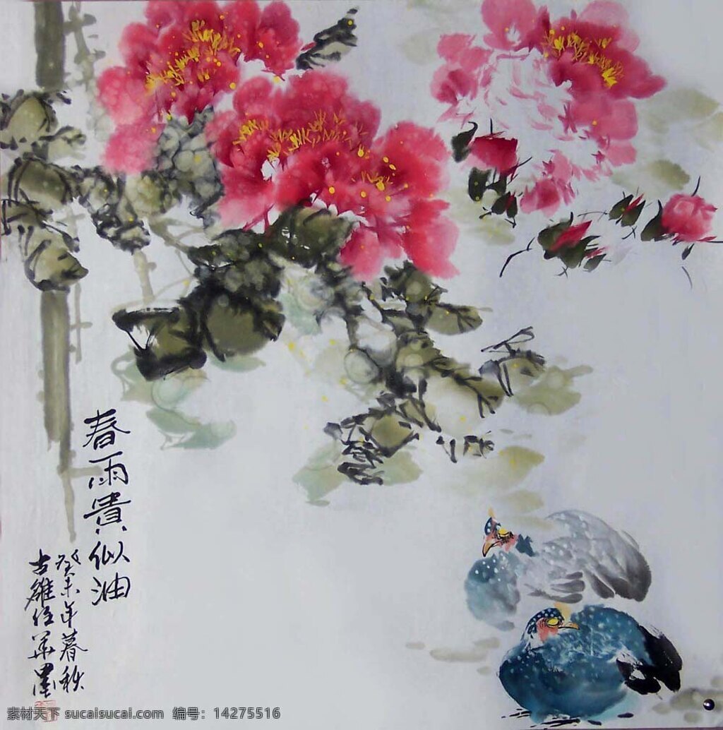 牡丹画 中国画牡丹 文化艺术 美术绘画 中国画 设计图库