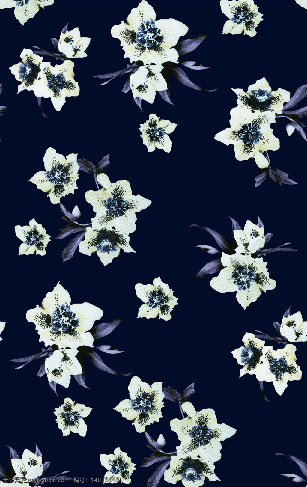 花卉 装饰 图案 背景 黑白 花朵 灰花 手绘 元素