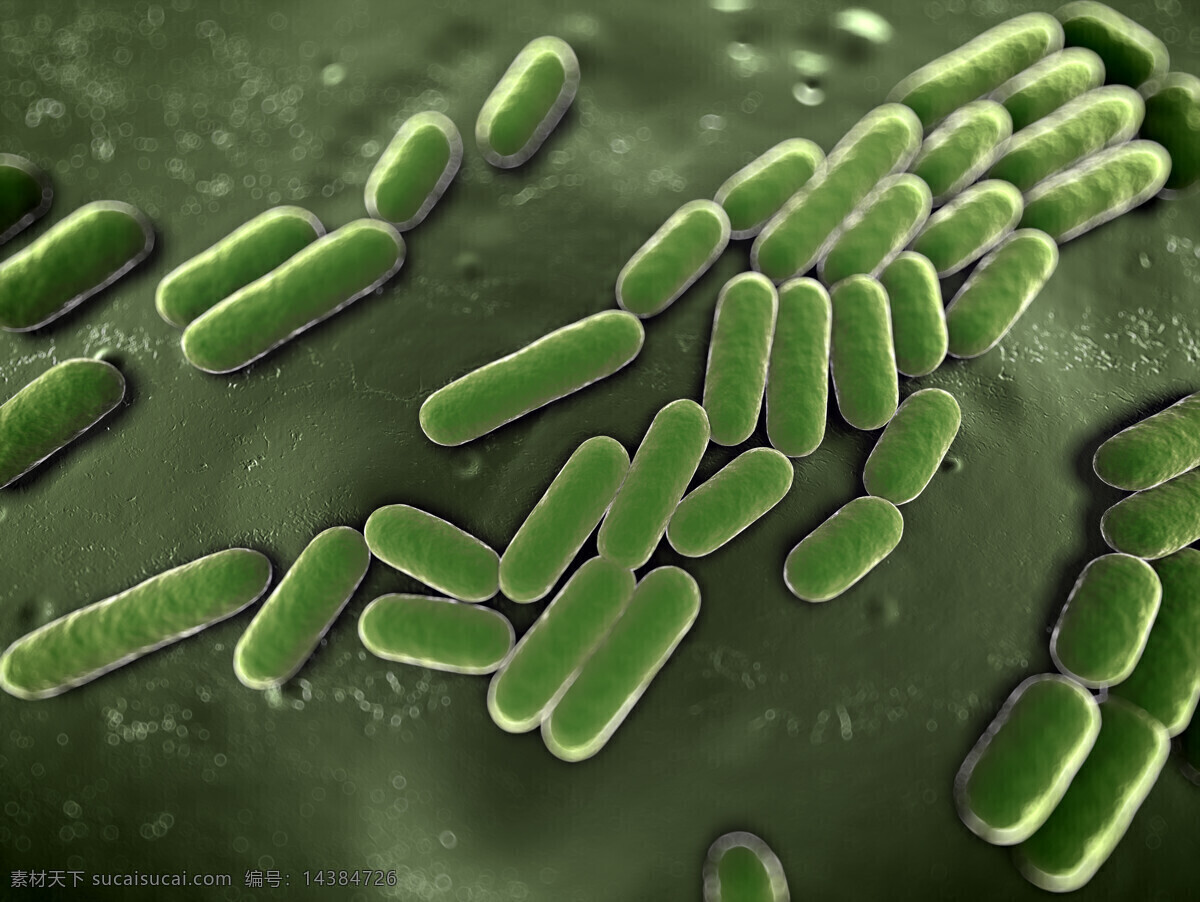 绿色 虫 形 微生物 显微镜 细菌 病毒 细胞 人生组织 科学 实验 医疗护理 现代科技