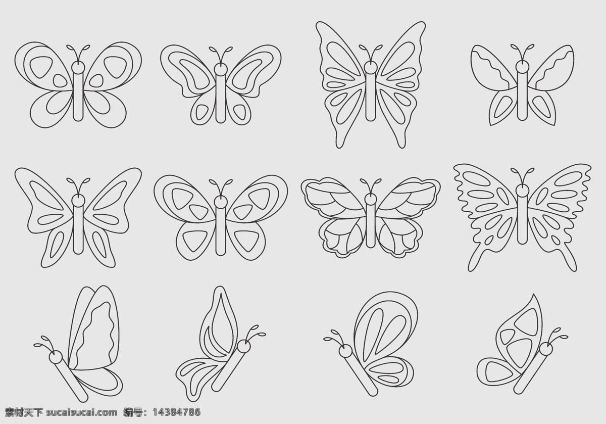 蝴蝶设计图 矢量 黑色 灰色 白色