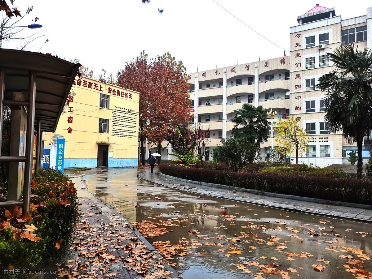 雨天 校园 教学楼 落叶 深秋 阴冷 建筑景观 自然景观