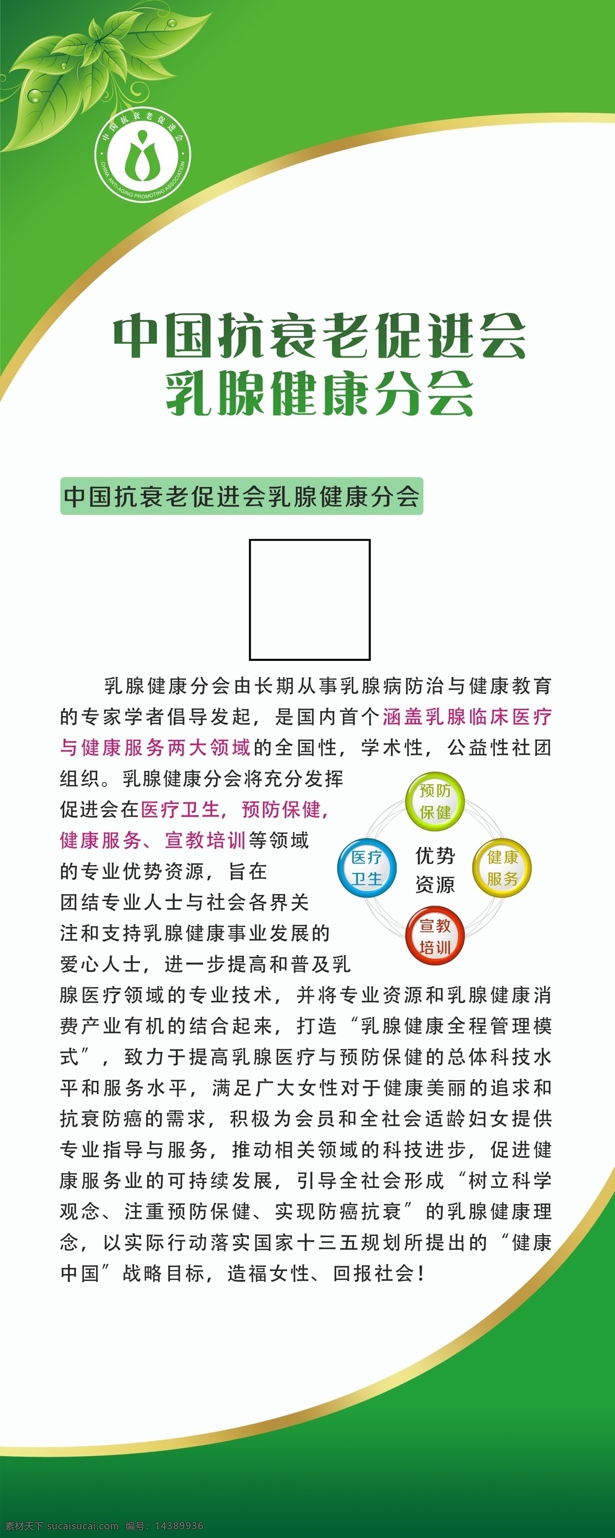 中国 搞 衰老 促进 乳腺 健康 分会 中国乳腺 联盟 x展架 分层图板 海报 宣传 设计元素