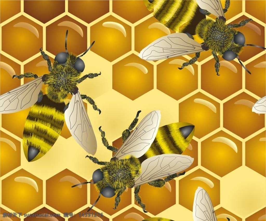 矢量蜜蜂 蜜蜂 采蜜忙 车矢菊 花中蜜蜂 勤劳 原创 微距 生物世界
