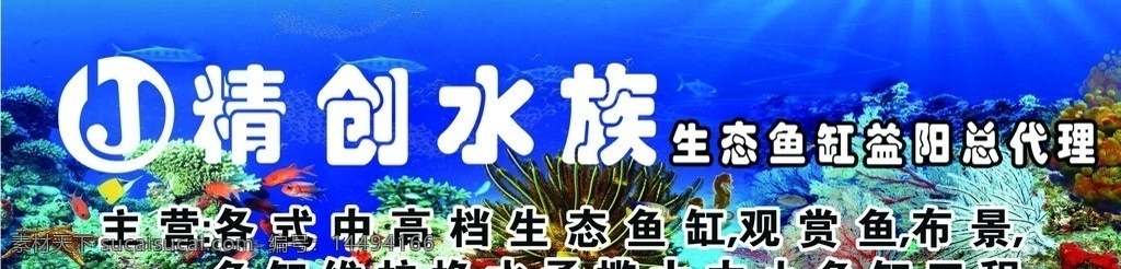 精创水族 鱼馆 精创 水族 海鱼 总代理 矢量