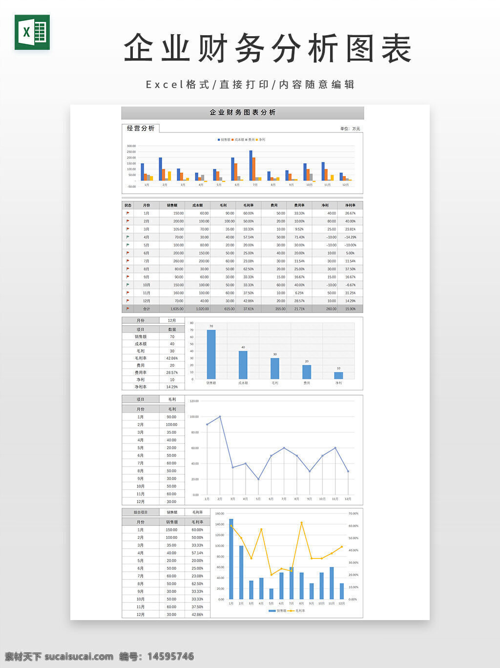 企业财务分析 图表 数据分析 经营分析 销售额 成本 毛利 费用 净利润 月度数据 柱状图 折线图 财务报表 财务指标 年度分析 利润率 财务管理 统计图表 商业分析 数据可视化