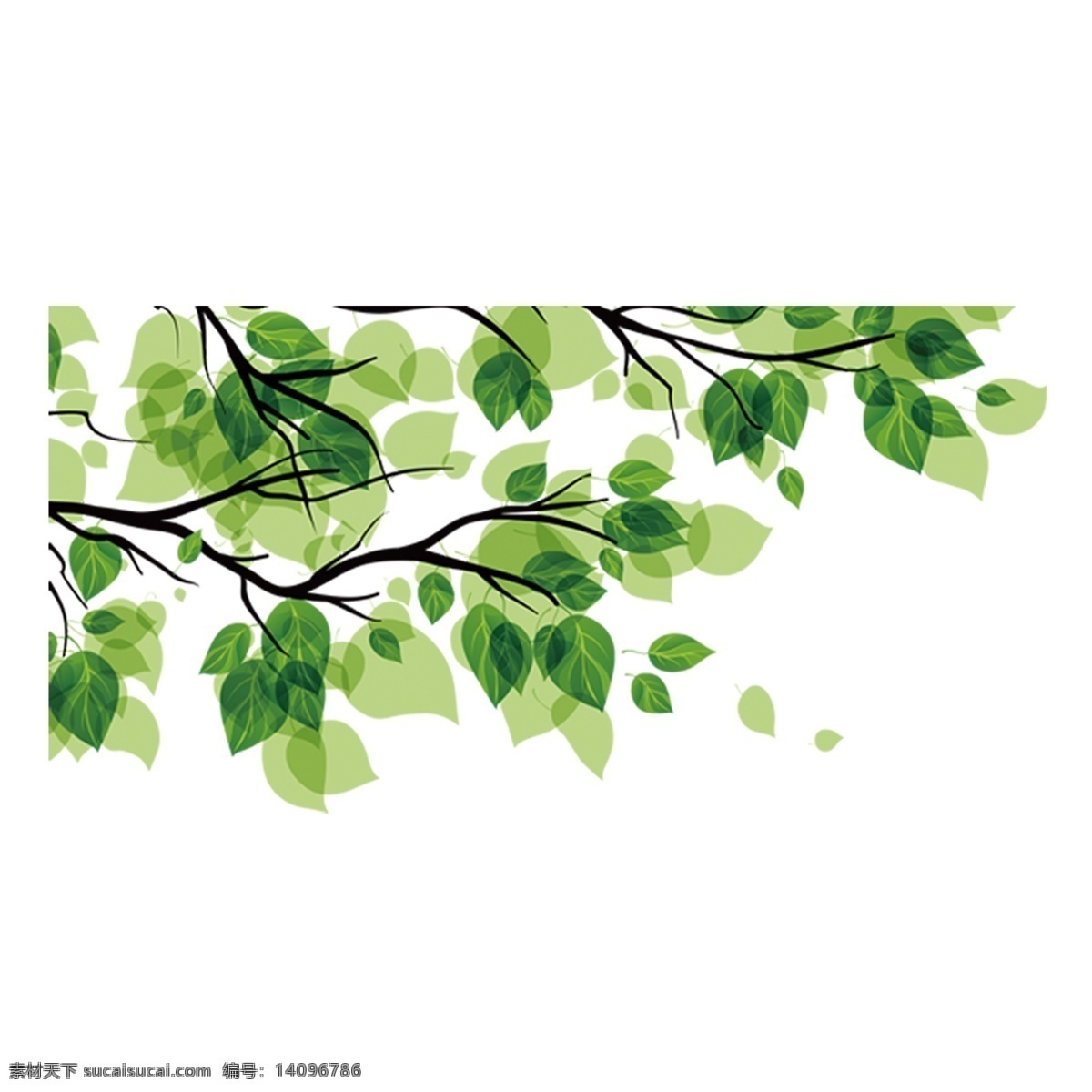 清新 绿色 树叶 卡通 透明 鲜花 叶子 装饰图案 透明素材 免扣素材