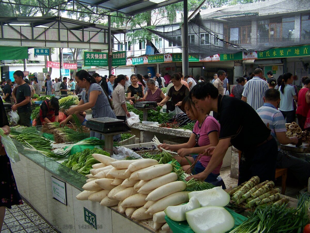 农贸市场 生活百科 生活素材 蔬菜 菜市场 买菜 菜篮子 集市 赶集 market supermarke 民风民俗 风景 生活 旅游餐饮